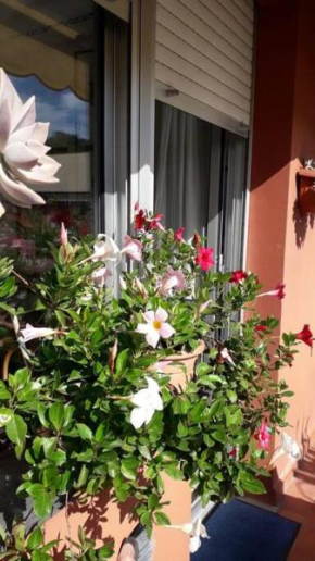 La casa di Teri a Chiavari Chiàvari